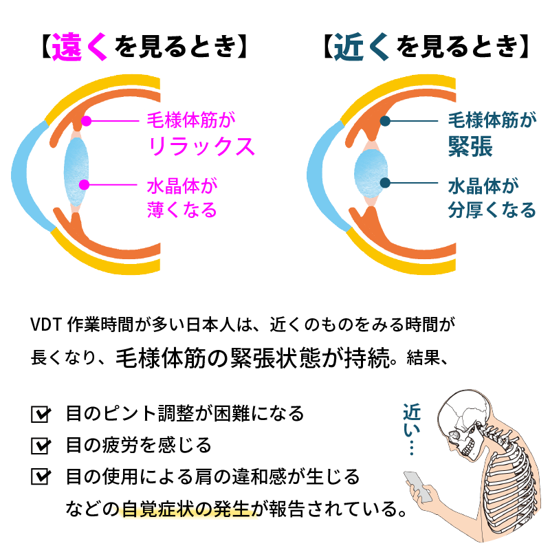 KA・RA・DA 目&肩サプリ(30日分) - KA·RA·DA MARCHÉ744339