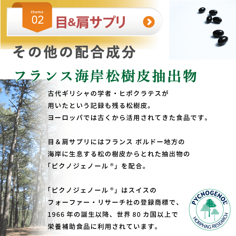 【KA・RA・DA定期便】「KA・RA・DA 目&肩サプリ」コース 30日に1度お届け<送料無料・15%OFF> - KA·RA·DA MARCHÉ744339