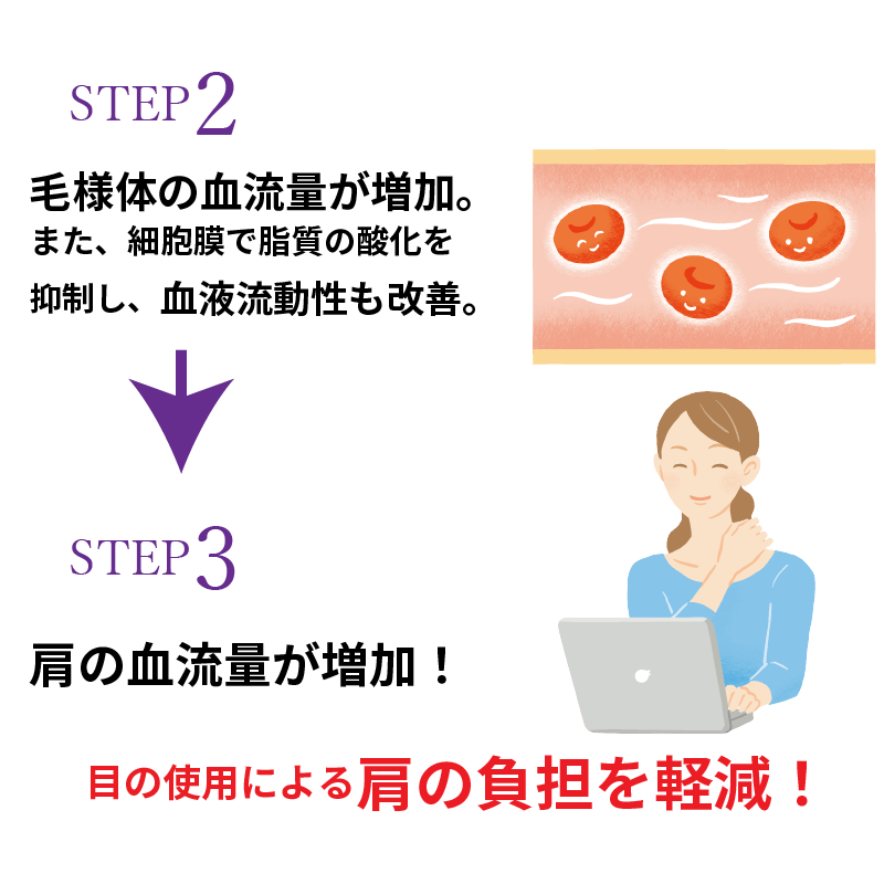 【KA・RA・DA定期便】「KA・RA・DA 目&肩サプリ」コース 30日に1度お届け<送料無料・15%OFF> - KA·RA·DA MARCHÉ744339