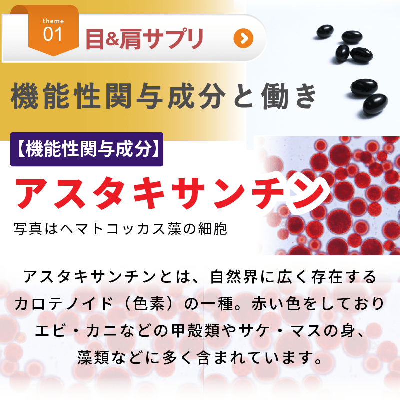 【KA・RA・DA定期便】「KA・RA・DA 目&肩サプリ」コース 30日に1度お届け<送料無料・15%OFF> - KA·RA·DA MARCHÉ744339