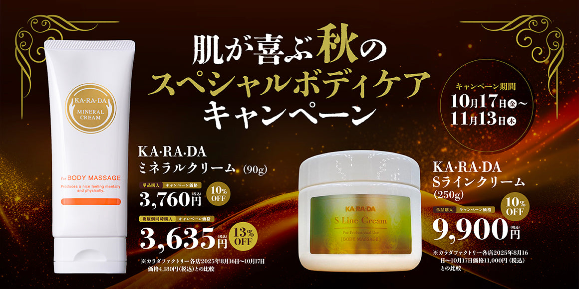 藤原式骨盤矯正術 DVD 3枚セット 藤原式骨盤矯正術 DVD 3枚セット 藤原式骨盤矯正術 DVD 3