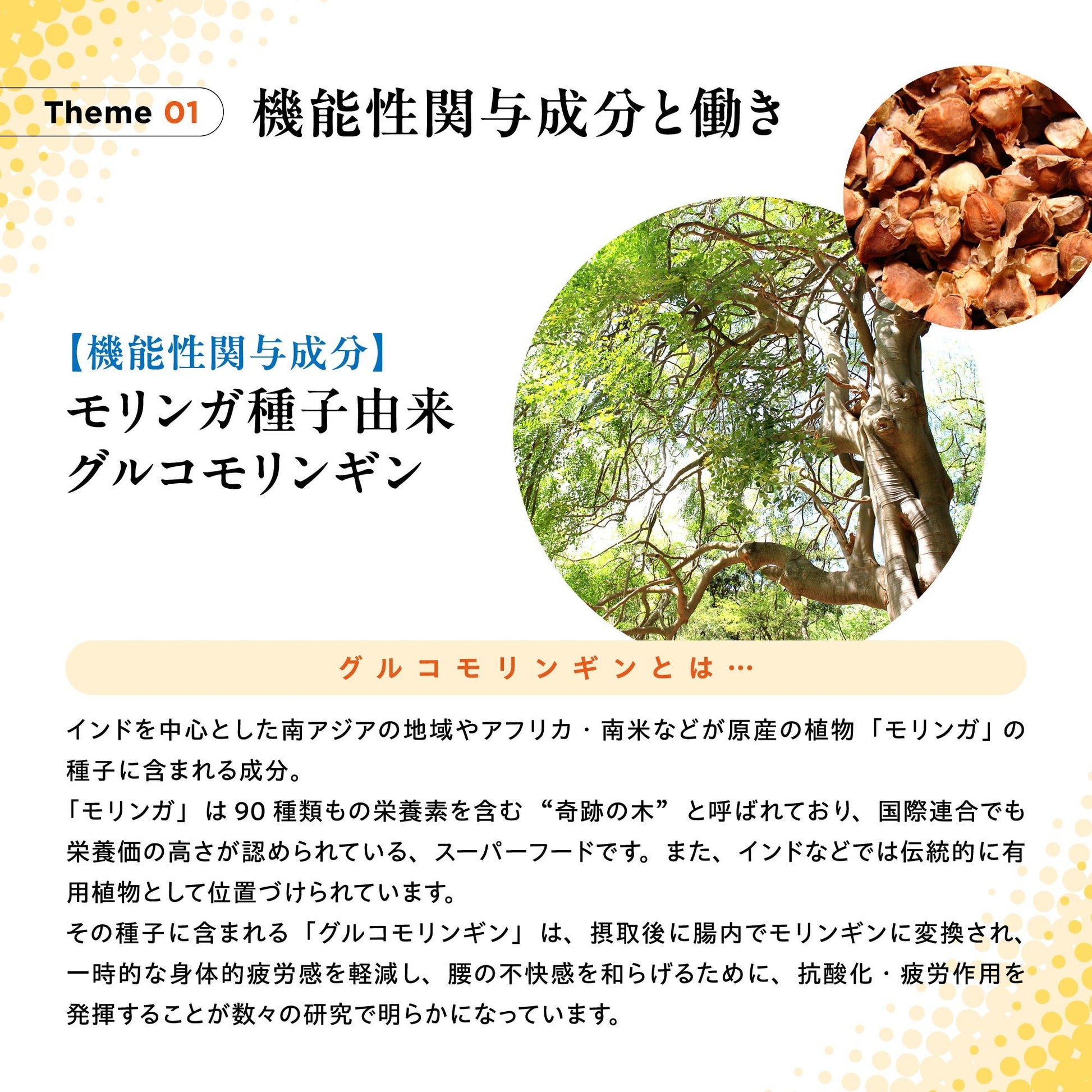 【KA･RA･DA定期便】「KA･RA･DA 腰サプリ」コース　30日に１度お届け＜送料無料・15％OFF＞ - KA·RA·DA MARCHÉ744385