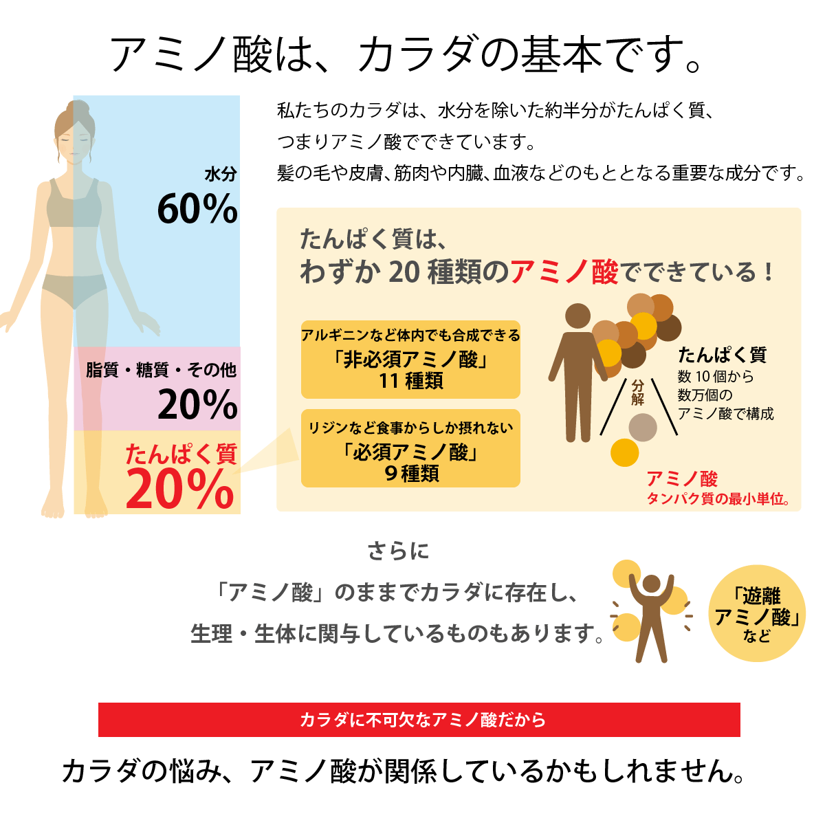 【KA･RA･DA定期便】「KA･RA･DA アミノ４α」コース　30日に１度お届け＜送料無料・15％OFF＞ - KA·RA·DA MARCHÉ744251