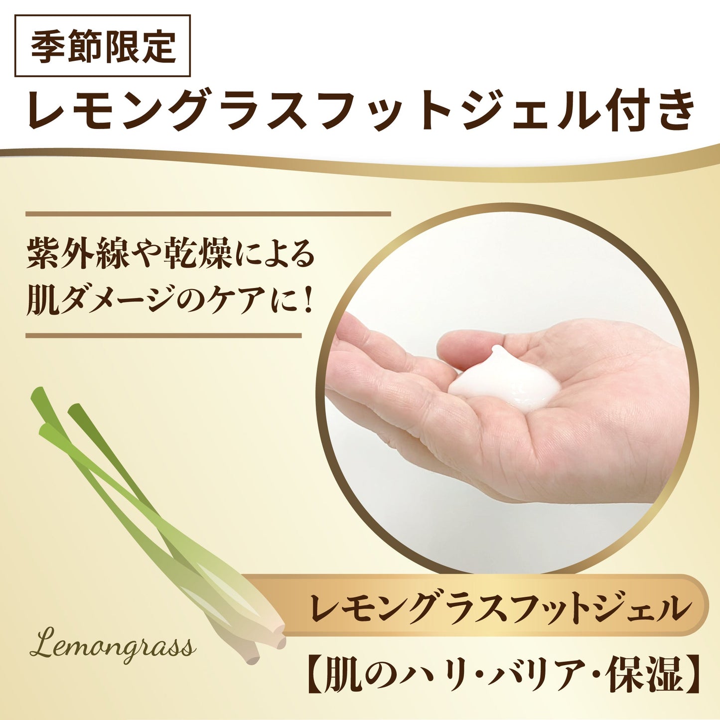 PREMIUMフット(足裏)コース30分[カラダファクトリーデジタルチケット(eGIFT)] - KA·RA·DA MARCHÉETK0020